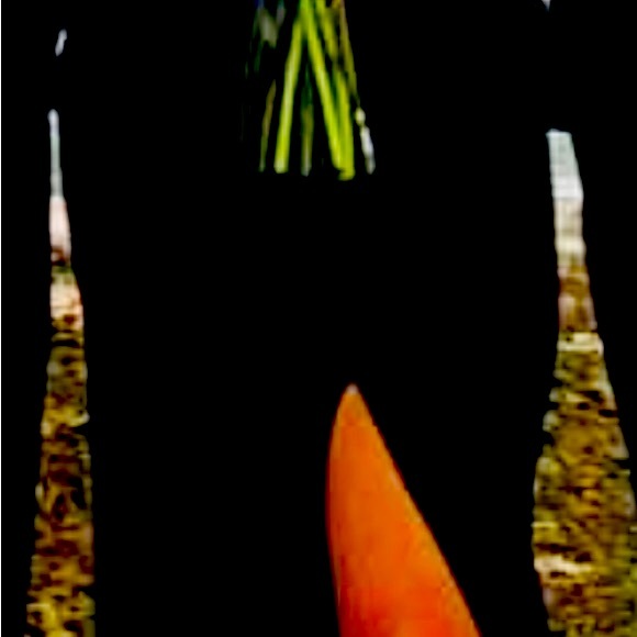 No longer need - Picture 7 of 9